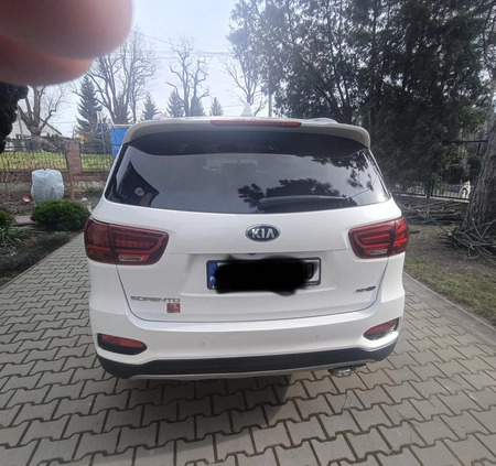 Kia Sorento cena 121500 przebieg: 104500, rok produkcji 2018 z Czerwieńsk małe 22